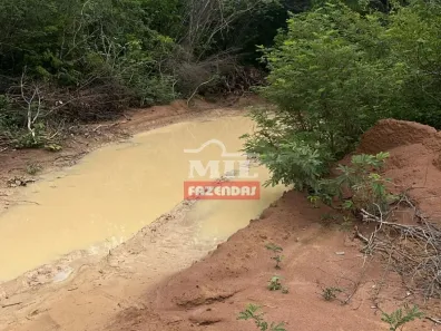 Fazenda/Sítio à venda, 500m² no , Canto do Buriti