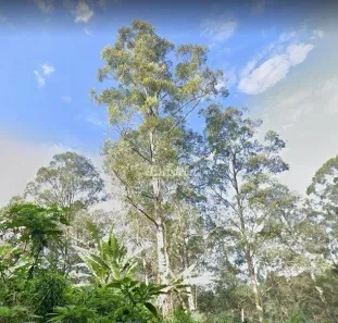Lote/Terreno à venda, 1000m² no Tucuruvi, São Paulo