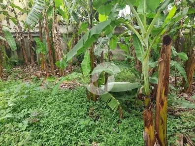 Lote/Terreno à venda, 450m² no Serra Grande, Niterói