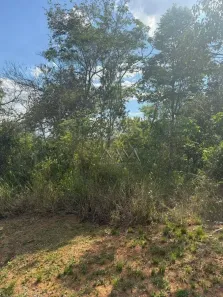 Lote/Terreno à venda, 1247m² no Pau Pombo, Nova Lima