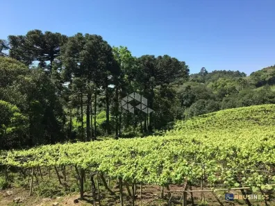 Lote/Terreno à venda, 10m² no Desvio Rizzo, Caxias do Sul
