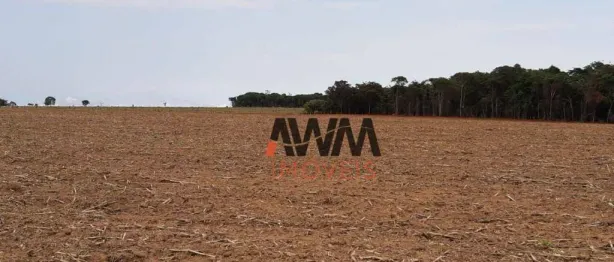 Fazenda/Sítio com 2 Quartos à venda, 387200m² no , Americano do Brasil