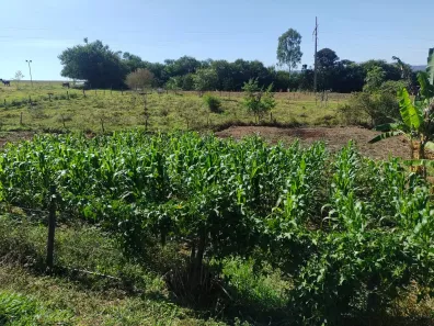 Fazenda/Sítio com 4 Quartos à venda, 320000m² no Núcleo Rural Hortigranjeiro de Santa Maria, Brasília