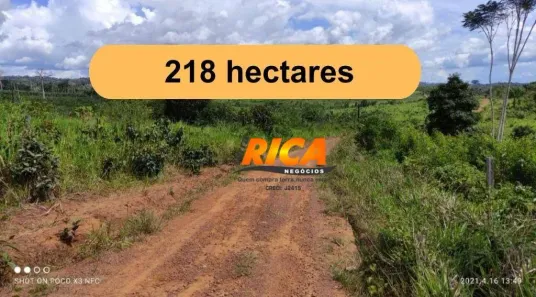 Fazenda/Sítio à venda, 2180000m² no Área rural de Apuí, Apuí