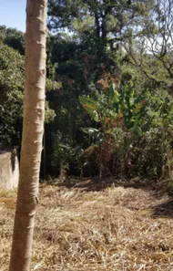 Lote/Terreno à venda, 319m² no Jardim Sorirama (Sousas), Campinas