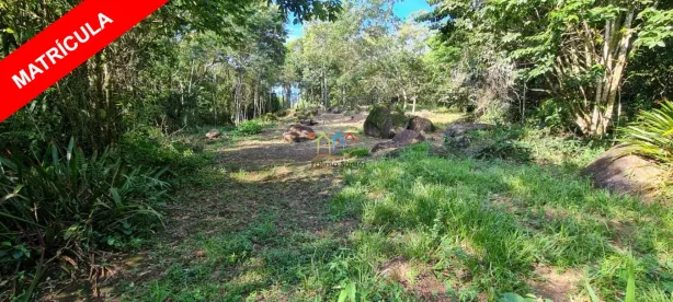 Lote/Terreno à venda, 3118m² no São Pedro (Cambaquara), Ilhabela
