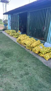 Fazenda/Sítio com 3 Quartos à venda, 48400m² no , São Miguel do Passa Quatro