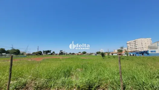 Lote/Terreno à venda, 10800m² no Segismundo Pereira, Uberlândia