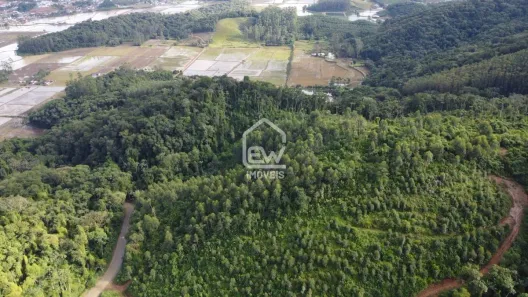 Fazenda/Sítio com 1 Quarto à venda, 117526m² no , Massaranduba