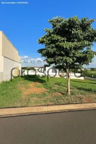 Lote/Terreno com 1 Quarto à venda, 240m² no Residencial Izabel Mizobe, Álvares Machado