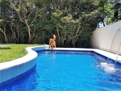 Sobrado com 4 Quartos à venda, 560m² no Vila Albertina, São Paulo
