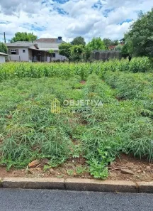 Lote/Terreno à venda, 10m² no 25 de Julho, Ivoti