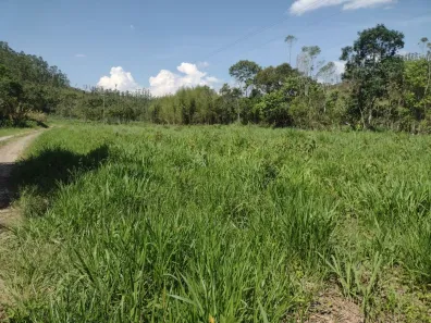 Fazenda/Sítio com 3 Quartos à venda, 100m² no Centro, Guaratinguetá