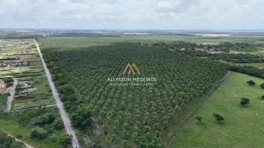 Fazenda/Sítio à venda, 1m² no Miguel Laurentino, São José de Mipibu