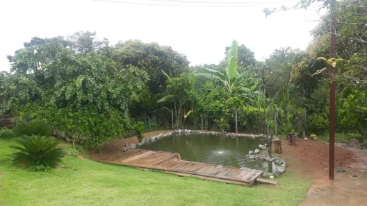 Fazenda/Sítio com 5 Quartos à venda, 4002m² no Capim Rasteiro (Chácaras Campo Alegre), Contagem