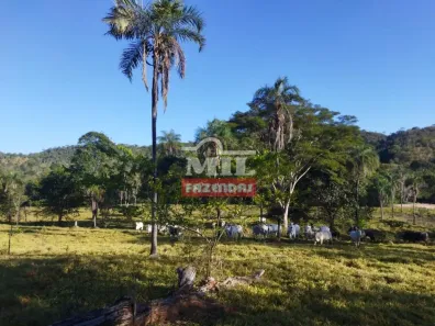 Fazenda/Sítio à venda, 500m² no , Niquelândia