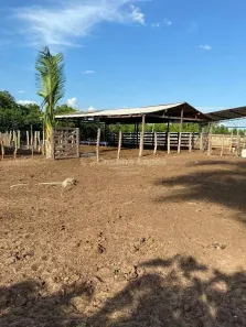 Fazenda/Sítio com 2 Quartos à venda, 10m² no Morro do Alecrim, Caxias