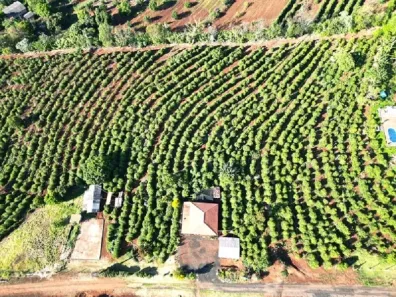 Fazenda/Sítio à venda, 22500m² no Área Rural de Apucarana, Apucarana