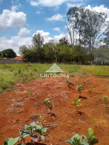 Lote/Terreno à venda, 1000m² no Vila Sottemo, Itapetininga