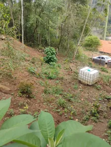 Lote/Terreno à venda, 2950m² no Parque Dom João VI, Nova Friburgo