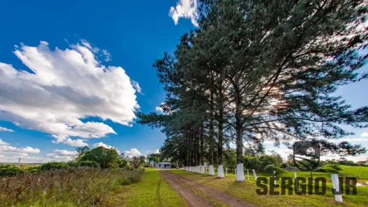 Fazenda/Sítio com 4 Quartos à venda, 93500000m² no , Triunfo