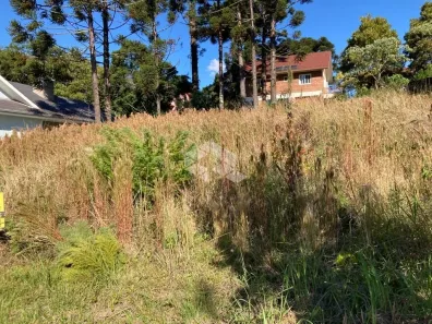 Lote/Terreno à venda, 56m² no Nova Petrópolis, Nova Petrópolis