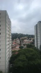Apartamento com 2 Quartos à venda, 52m² no Vila Irmãos Arnoni, São Paulo