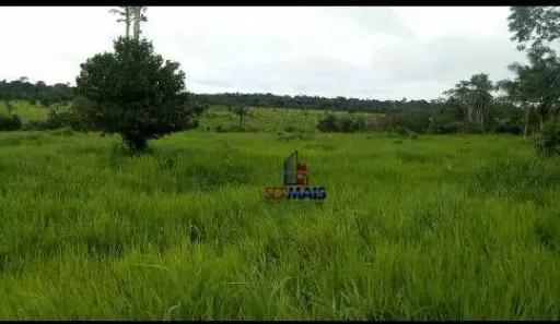 Fazenda/Sítio à venda, 242000m² no , Machadinho D'Oeste