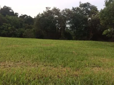 Lote/Terreno à venda, 1170m² no Parque dos Cafezais III, Itupeva