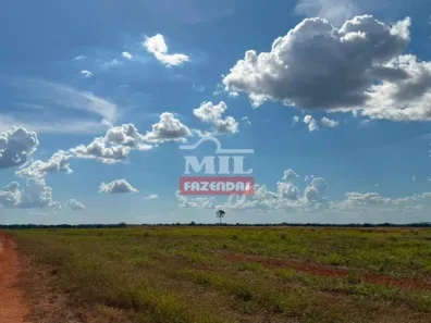 Fazenda/Sítio à venda, 1m² no , Nova Crixás