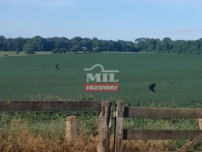 Fazenda/Sítio à venda, 500m² no , Anicuns