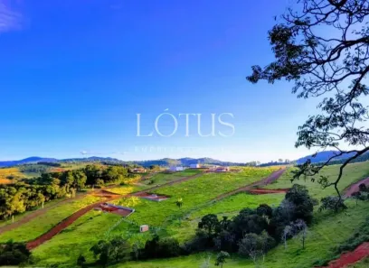Lote/Terreno à venda, 500m² no Centro, Campinas