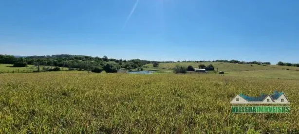 Fazenda/Sítio à venda, 33000m² no Área Rural de Águas Claras, Viamão