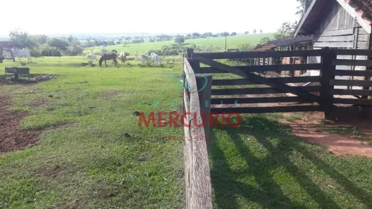 Fazenda/Sítio com 3 Quartos à venda, 180m² no Centro, Fernão