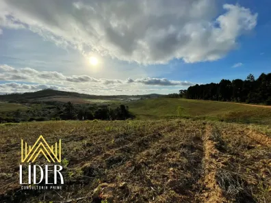 Lote/Terreno à venda, 500m² no Vila de São Fernando, Cotia