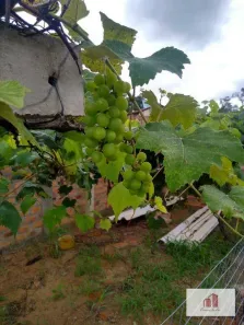 Lote/Terreno à venda, 1078m² no Capão da Porteira, Viamão