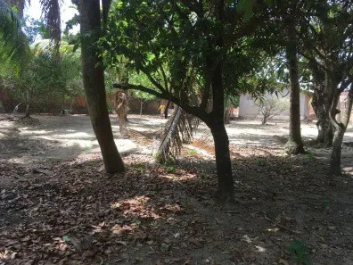 Lote/Terreno à venda, 2407m² no Turu, São Luís
