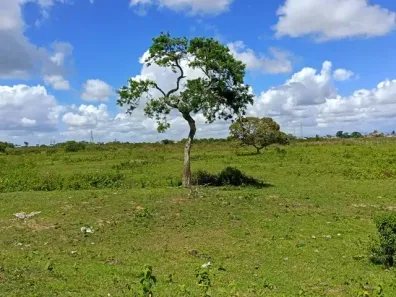 Lote/Terreno à venda, 64070m² no Fazenda Santo Antônio, Campos dos Goytacazes