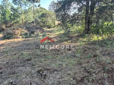 Lote/Terreno à venda, 683m² no Centro, São Francisco de Paula