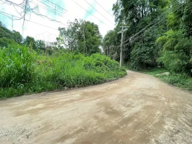 Lote/Terreno à venda, 5000m² no Parque Santa Tereza, Santa Isabel