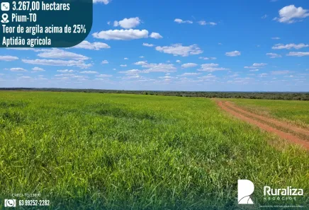 Fazenda/Sítio à venda, 3267m² no , Pium