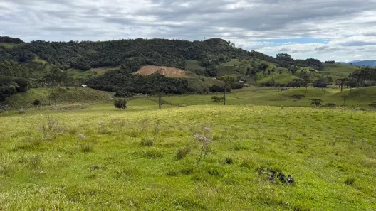 Fazenda/Sítio à venda, 40000m² no , Rancho Queimado