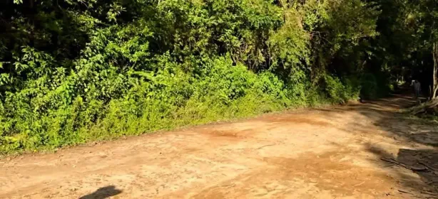 Lote/Terreno à venda, 2500m² no , Delfim Moreira