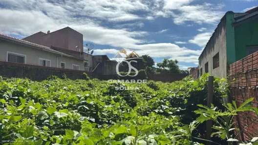 Lote/Terreno à venda, 336m² no Centro, Cesário Lange