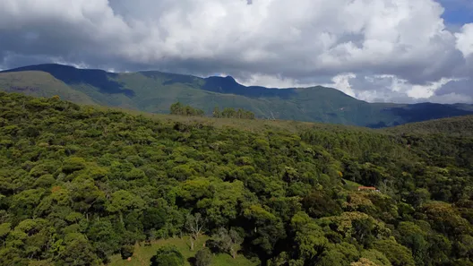 Fazenda/Sítio com 3 Quartos à venda, 236000m² no , Baependi