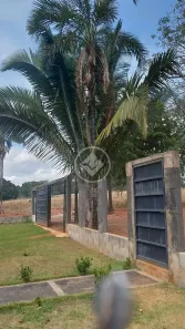Fazenda/Sítio à venda, 143076m² no Setor Primavera Norte, Piracanjuba