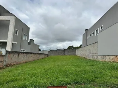 Lote/Terreno à venda, 368m² no Jardim Carvalho, Ponta Grossa