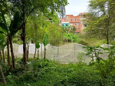 Fazenda/Sítio com 1 Quarto à venda, 70m² no Cidade Ipava, São Paulo