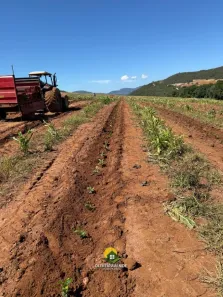 Fazenda/Sítio com 2 Quartos à venda, 970000m² no , Guapé
