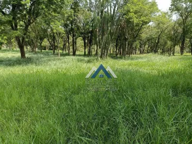 Fazenda/Sítio à venda, 302500m² no Assaí, Assaí